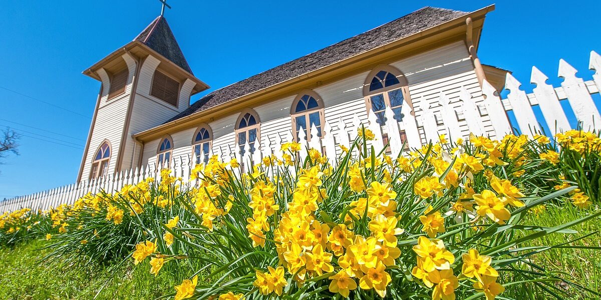 ENTERTAINMENT: HAM Territorial Fair, Jonquil Festival lead weekend list
