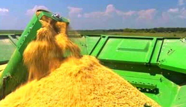 More than $3 million approved for rice research projects