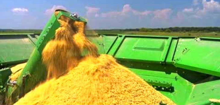 More than $3 million approved for rice research projects